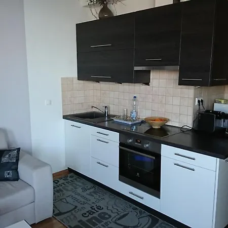 Galerius Golden 시오포크