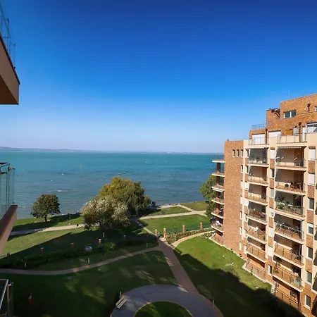 Galerius Golden * 시오포크