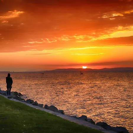 Galerius Golden * 시오포크