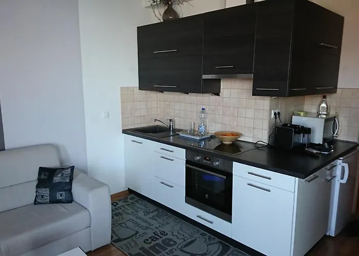 Galerius Golden Σίοφοκ