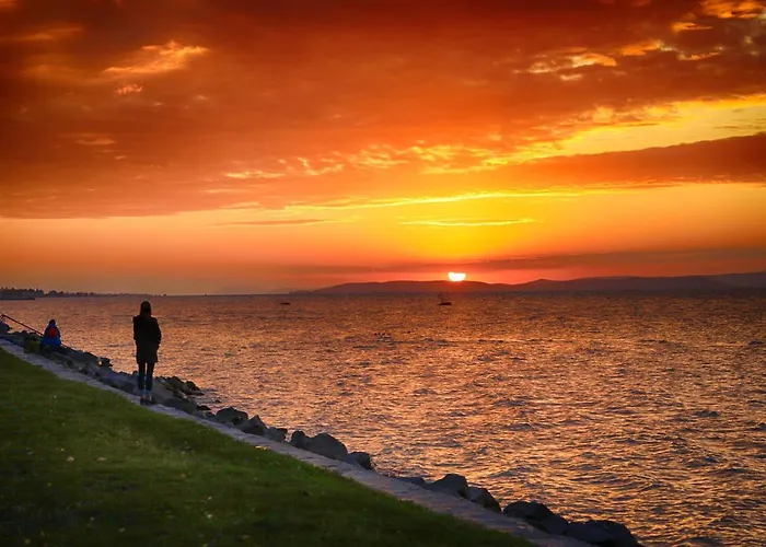 Galerius Golden * Σίοφοκ